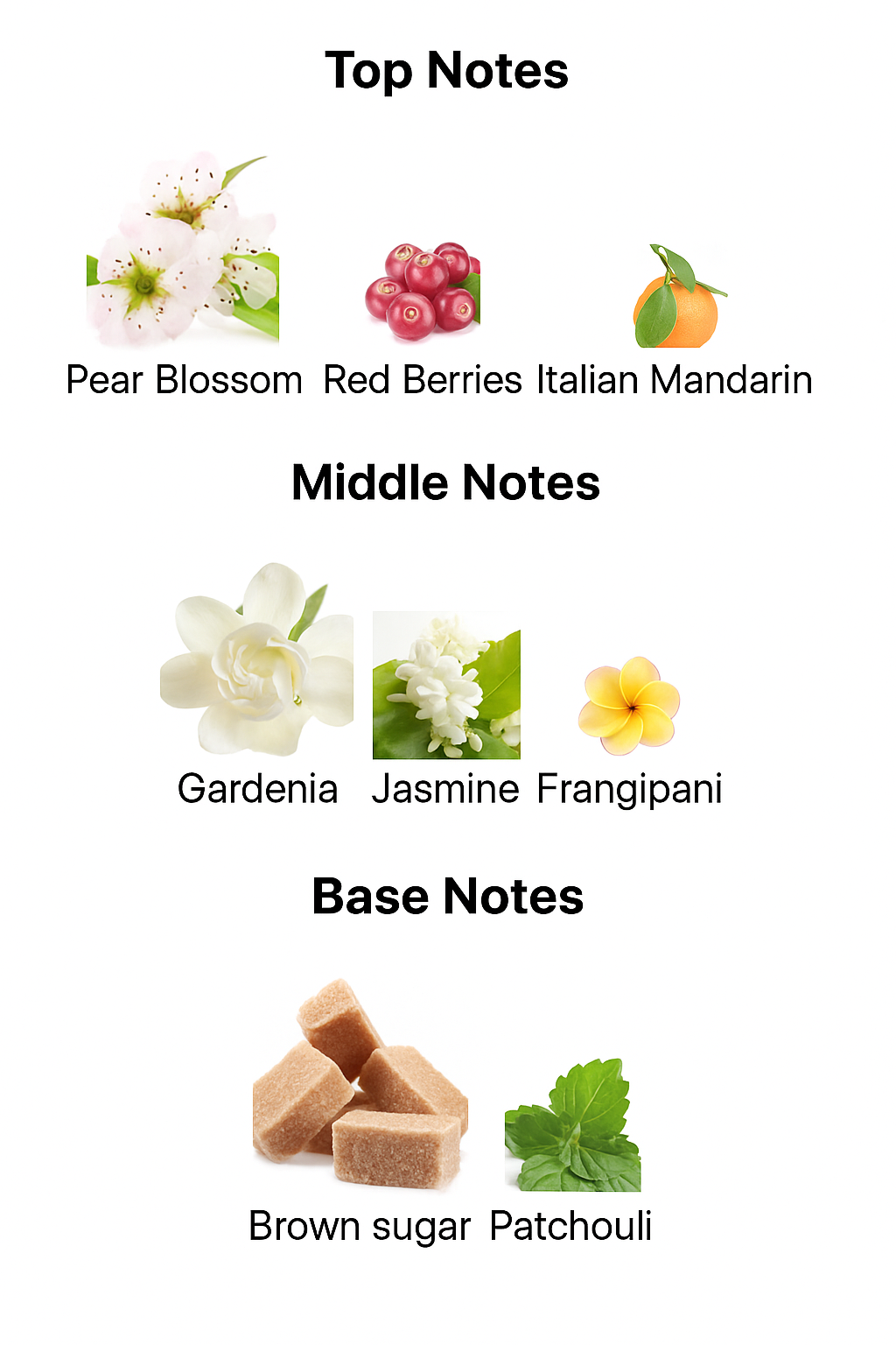 GUL – Inspired by Gucci Flora