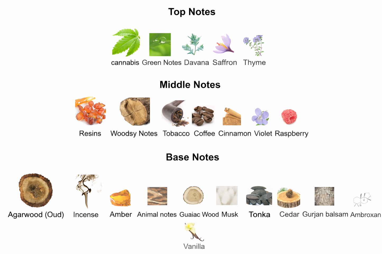 AFGANO | Inspired by Black Afgano